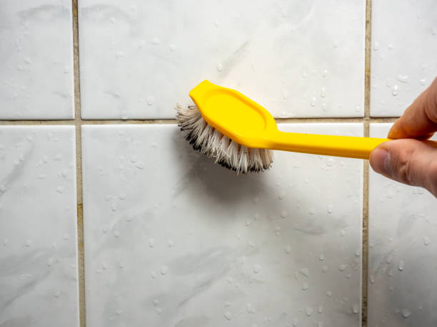 Best Affordable Mold Removal  in Port Gibson, MS