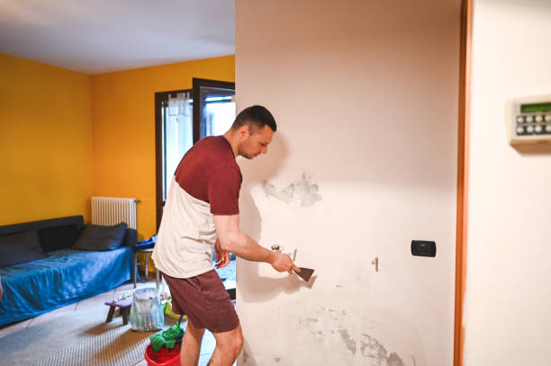 Best Toxic Mold Removal  in Port Gibson, MS