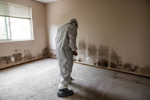 Best Mold Testing  in Port Gibson, MS